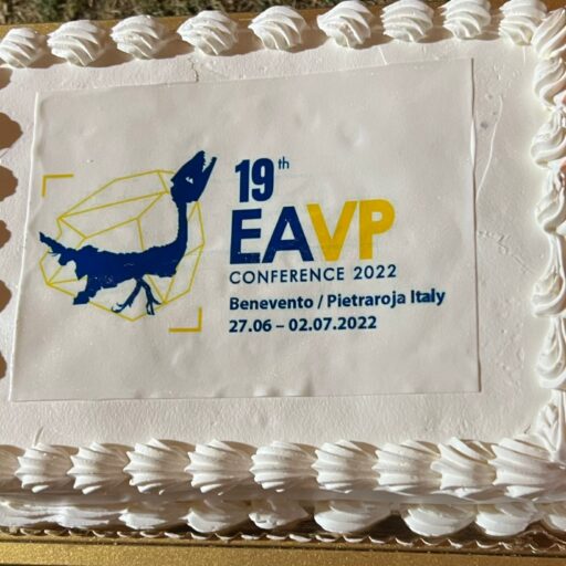 Torta EAVP 2022